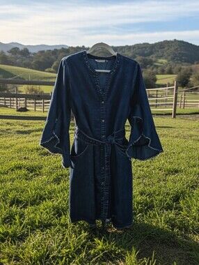 Denim Dress with Bell Sleeves